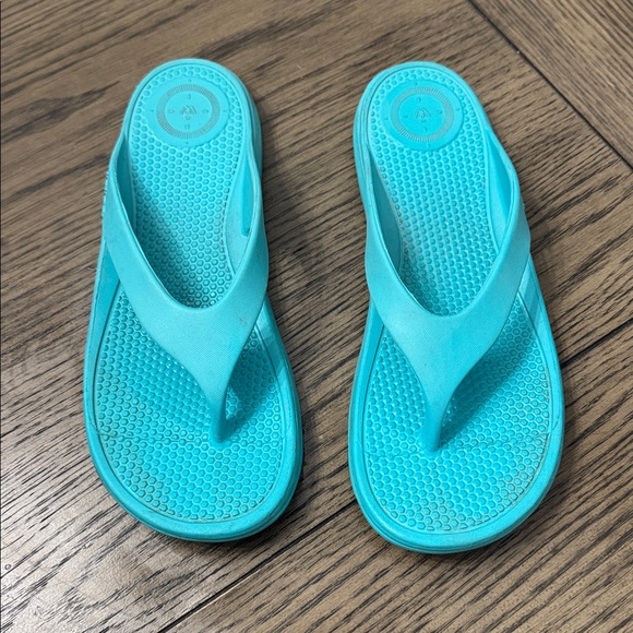 Totes Slides - Picture 1 of 1